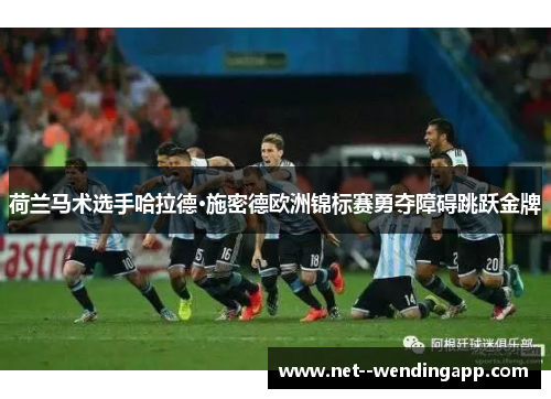 荷兰马术选手哈拉德·施密德欧洲锦标赛勇夺障碍跳跃金牌 荷兰马术选手哈拉德·施密德欧洲锦标赛勇夺障碍跳跃金牌