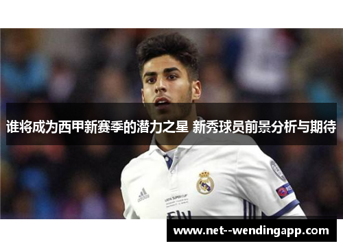 谁将成为西甲新赛季的潜力之星 新秀球员前景分析与期待